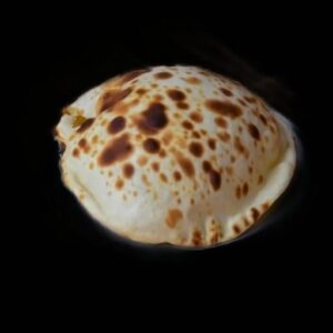 CHEESE NAAN